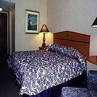 Doubletree By Hilton Pittsburgh-green Tree Hotel